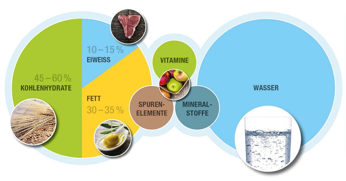 Zusammensetzung der Nahrung Zusammensetzung der Nahrung